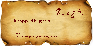 Knopp Ágnes névjegykártya